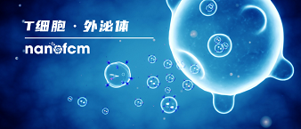  牛津大学Nature子刊揭示T细胞突触囊泡研究新方法