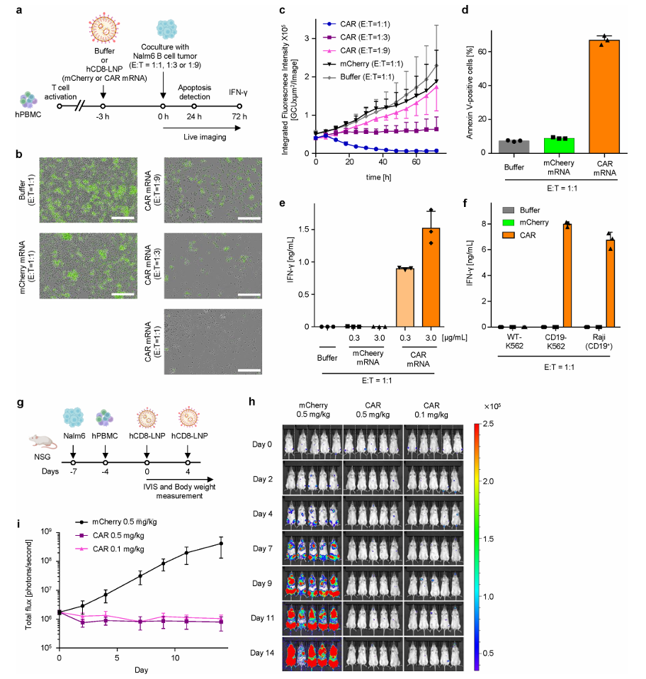 Notti 文献推文 图4.png